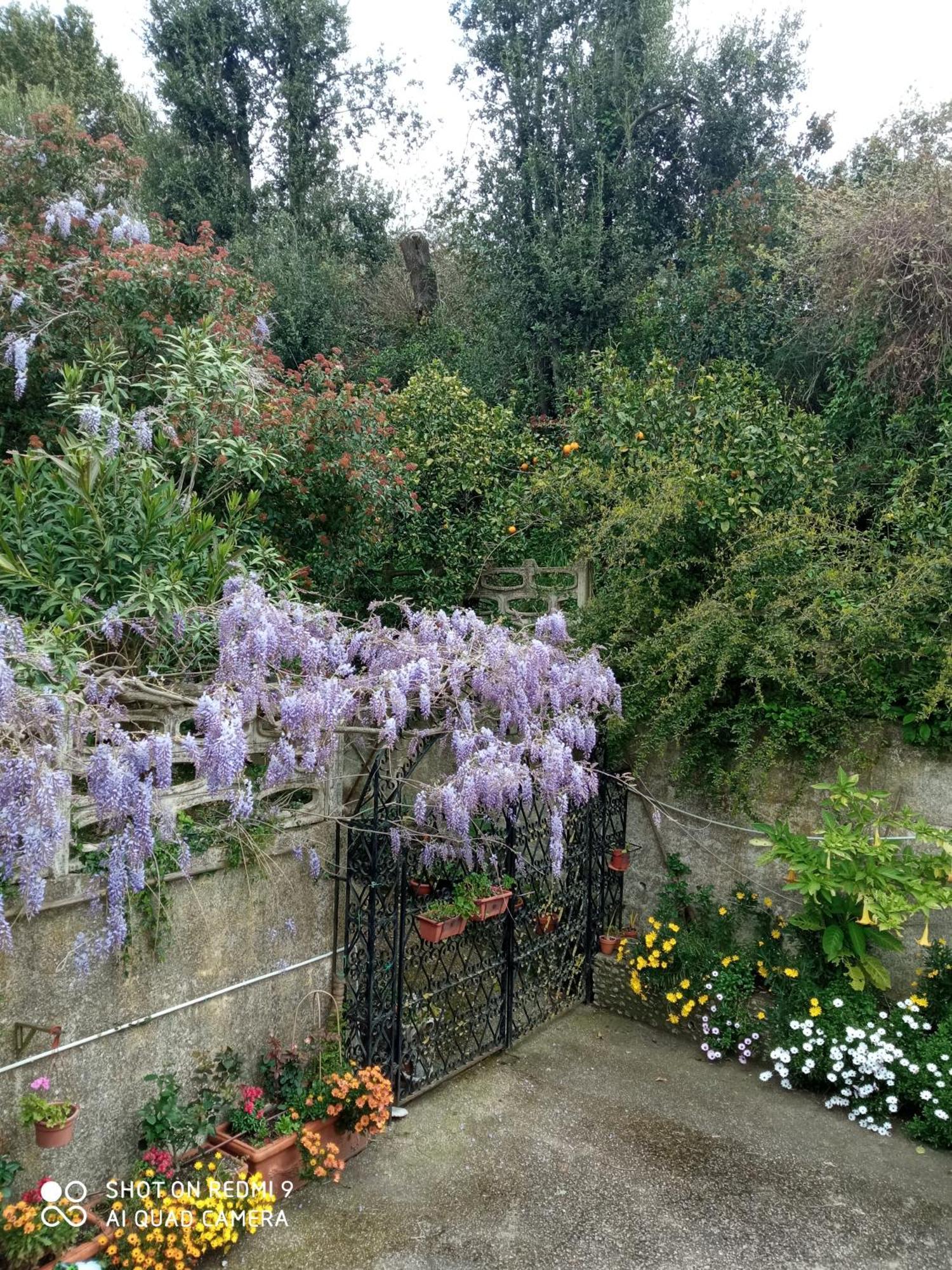 Belvedere Di Caiazzo Kültér fotó