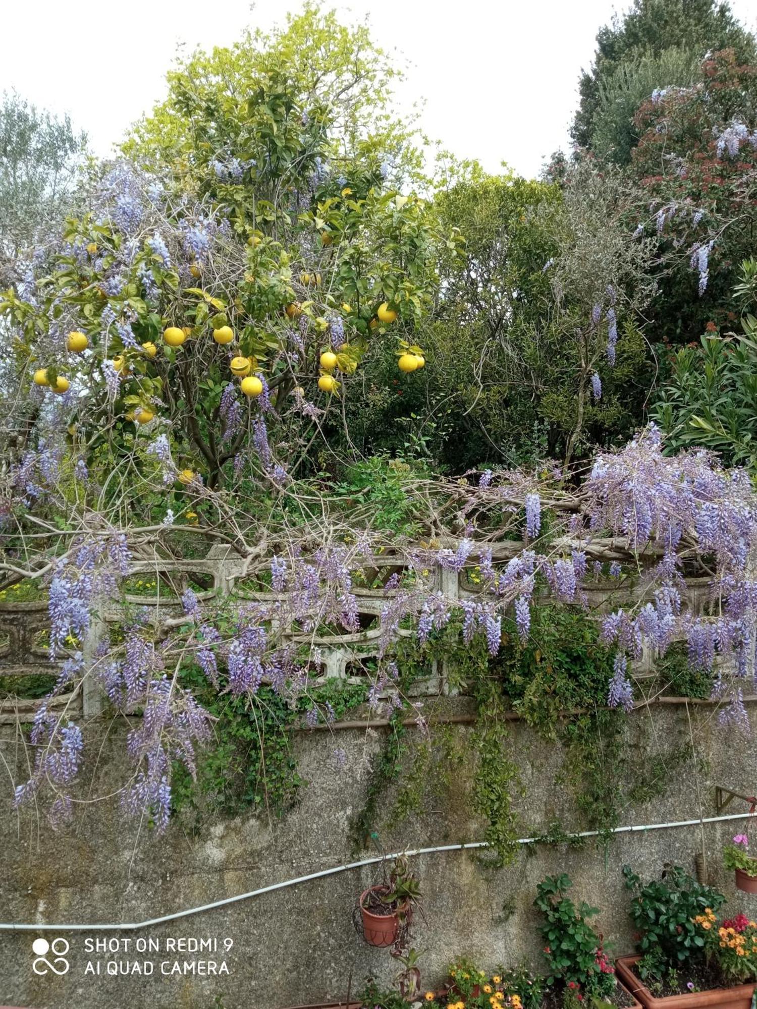 Belvedere Di Caiazzo Kültér fotó